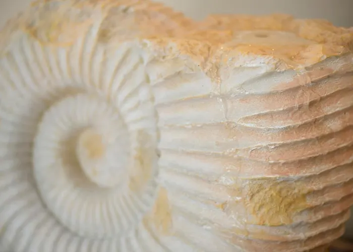 Im Palais Am Am Goitzschesee Bitterfeld-Wolfen